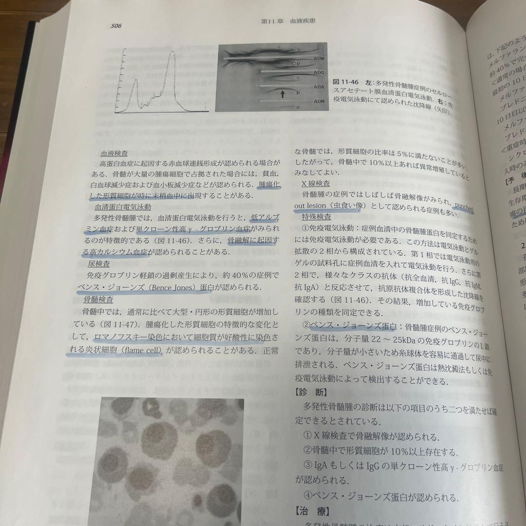 獣医内科学　第2版　小動物編