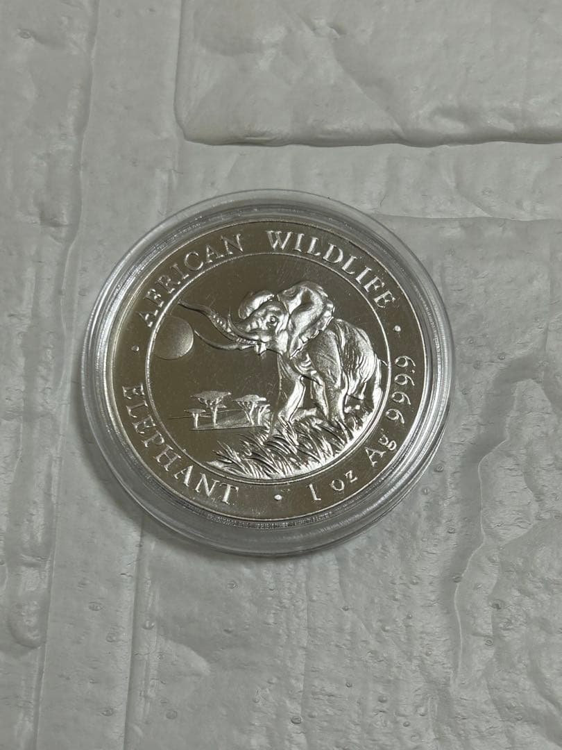 【純銀】2016年 ソマリア アフリカゾウ 銀貨 1オンス ケース入り　新品