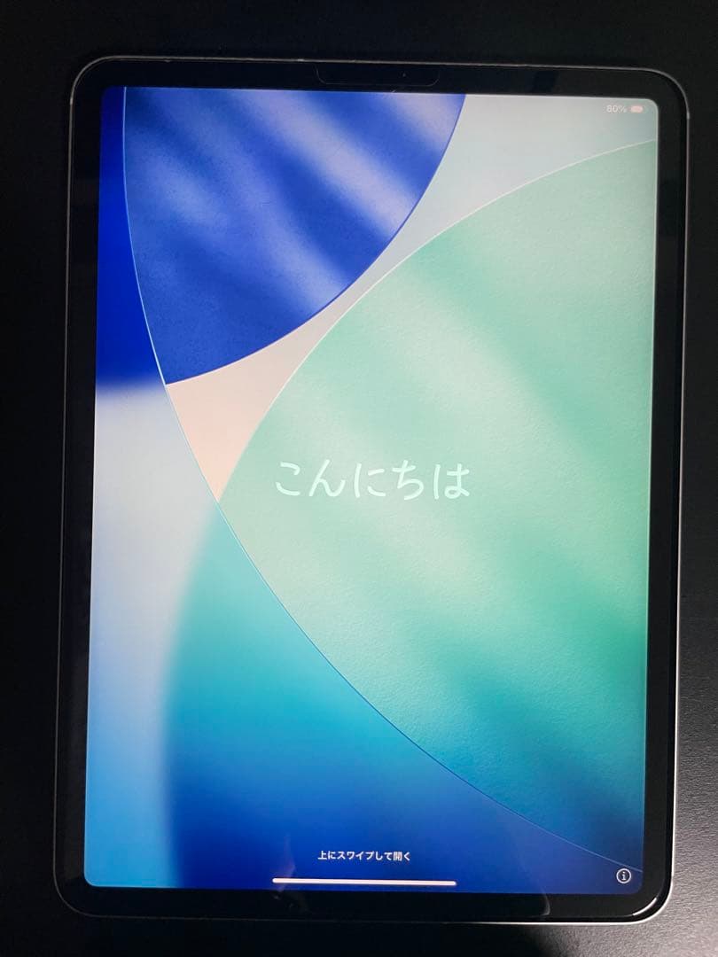 iPad Pro 11インチ 256GB Cellularモデル シルバー