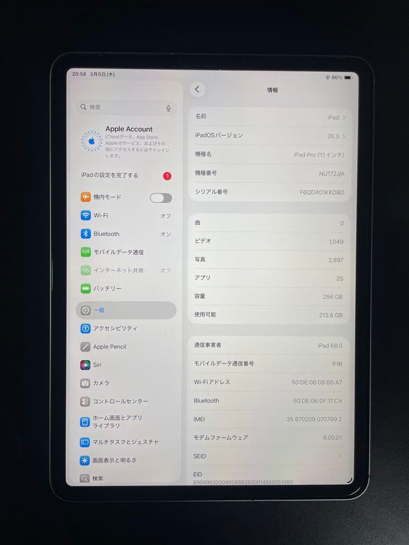 iPad Pro 11インチ 256GB Cellularモデル シルバー