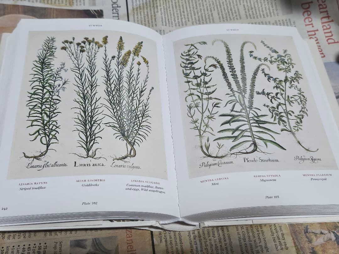 洋書植物