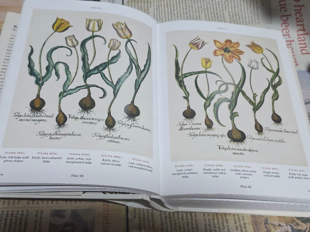 洋書植物