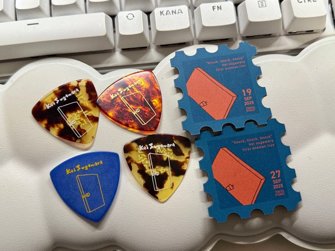 菅原圭 sanagi 完全生産限定盤 ハンカチ カセットテープ FC特典 ピック
