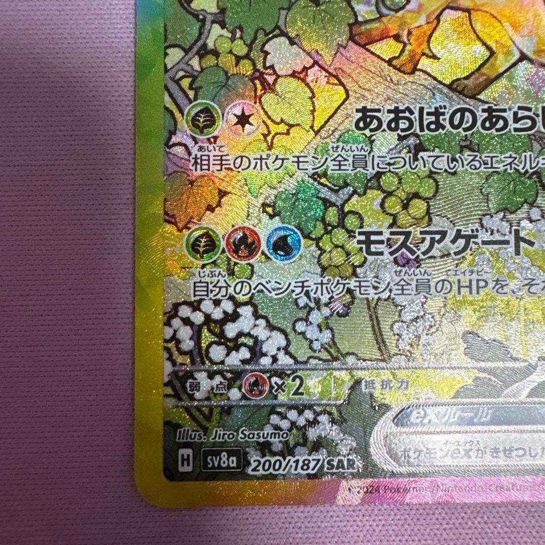 リーフィアex SAR テラスタルフェス