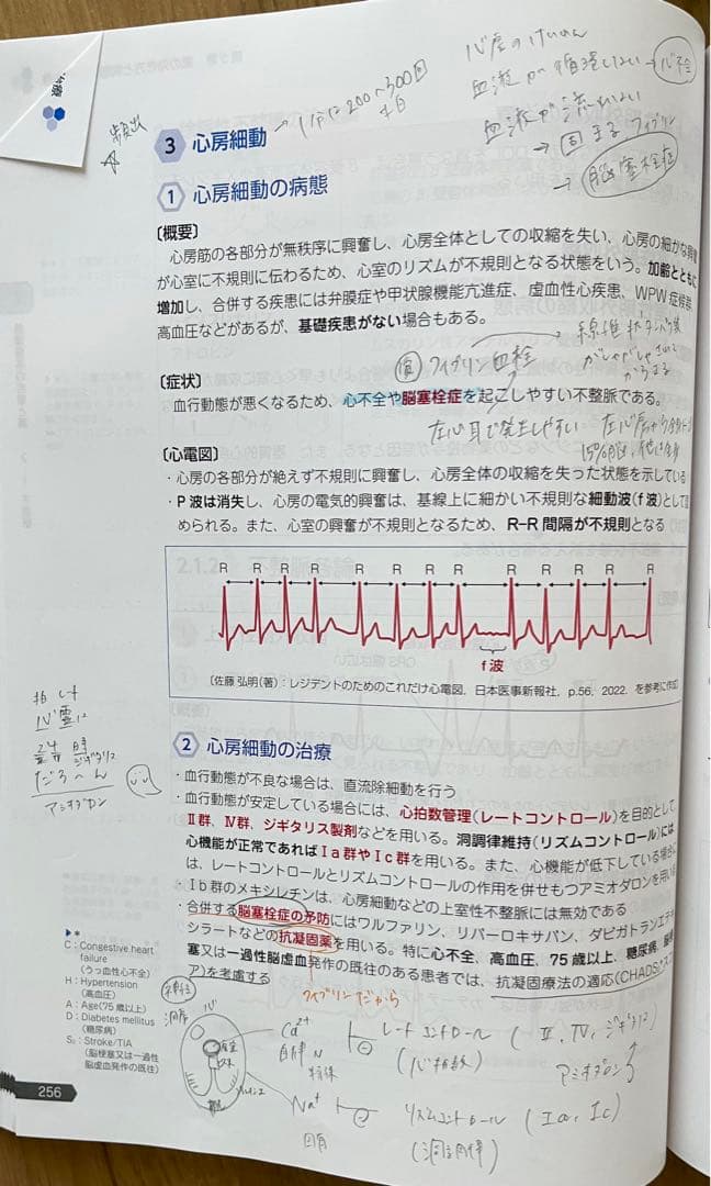 第111回 薬剤師国家試験 青本・青問・表紙・袋つき【8法規なし】