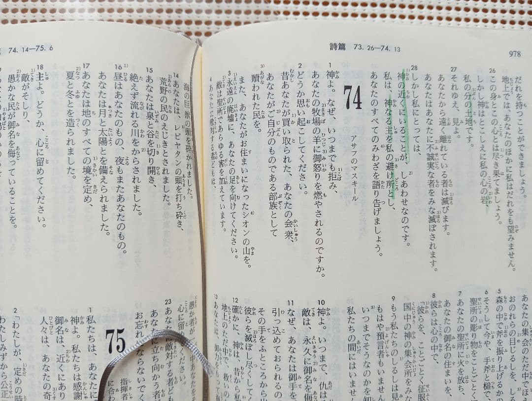 ■大型聖書 引照・注付 /日本聖書刊行会/新改訳聖書刊行会/大型スタンダード版