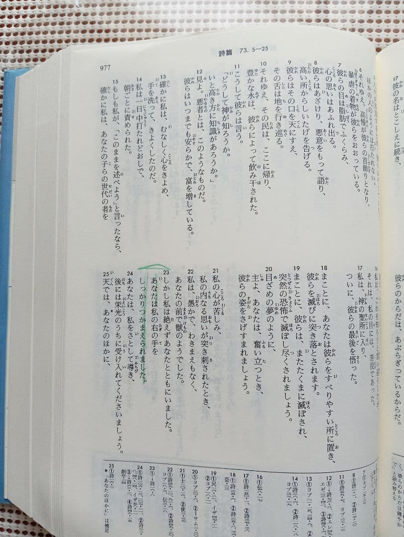 ■大型聖書 引照・注付 /日本聖書刊行会/新改訳聖書刊行会/大型スタンダード版