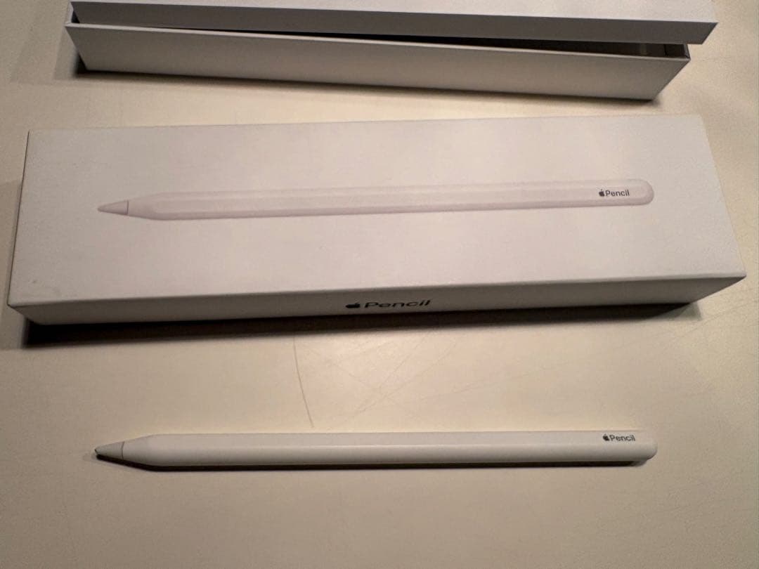 【虎様】iPad Pro 12.9 (第6世代) 256GB