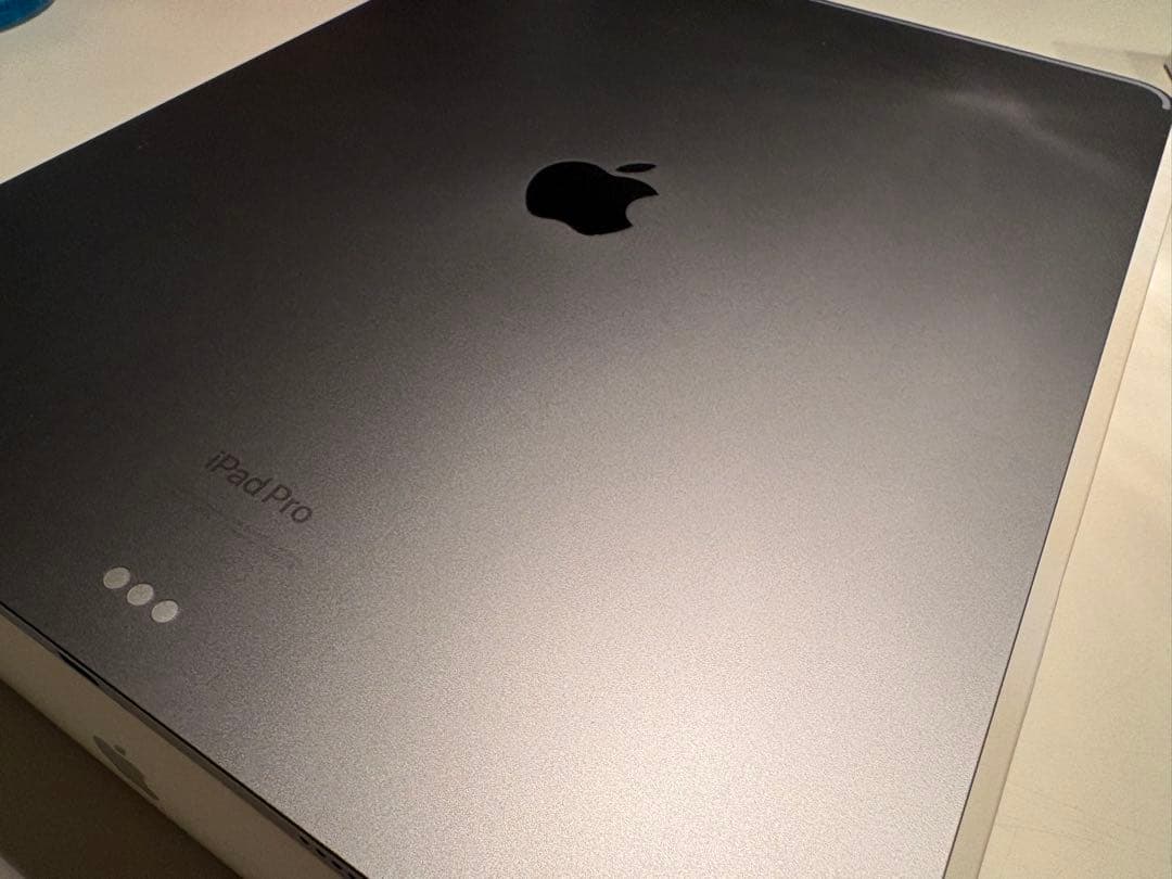【虎様】iPad Pro 12.9 (第6世代) 256GB