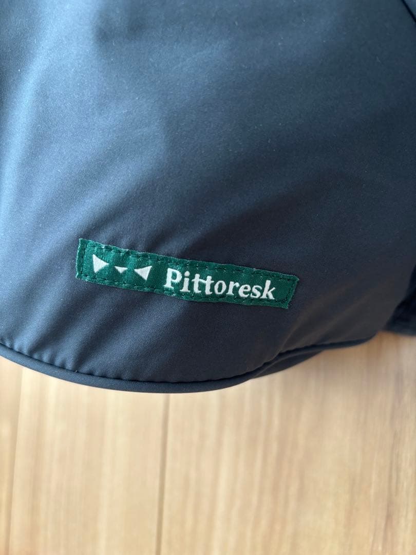 美品 Pittorest POLBAN ADVANCE ヒップシート