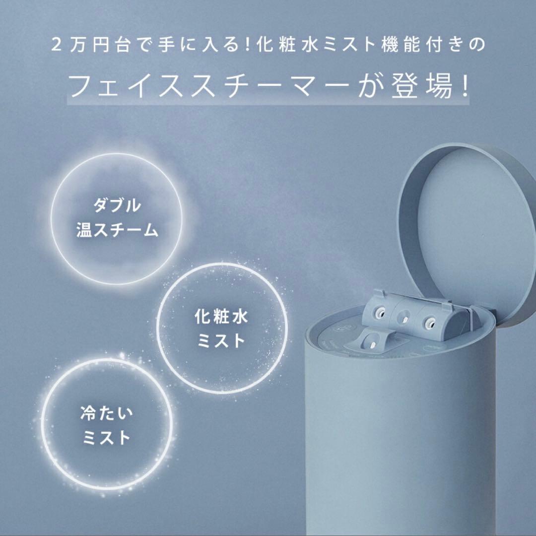 SALONIA ピュアブライトスチーマー グレー
