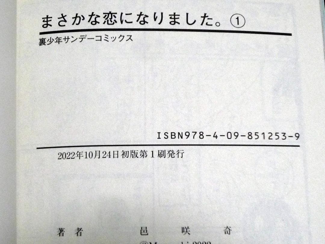 まさかな恋になりました。全巻セット