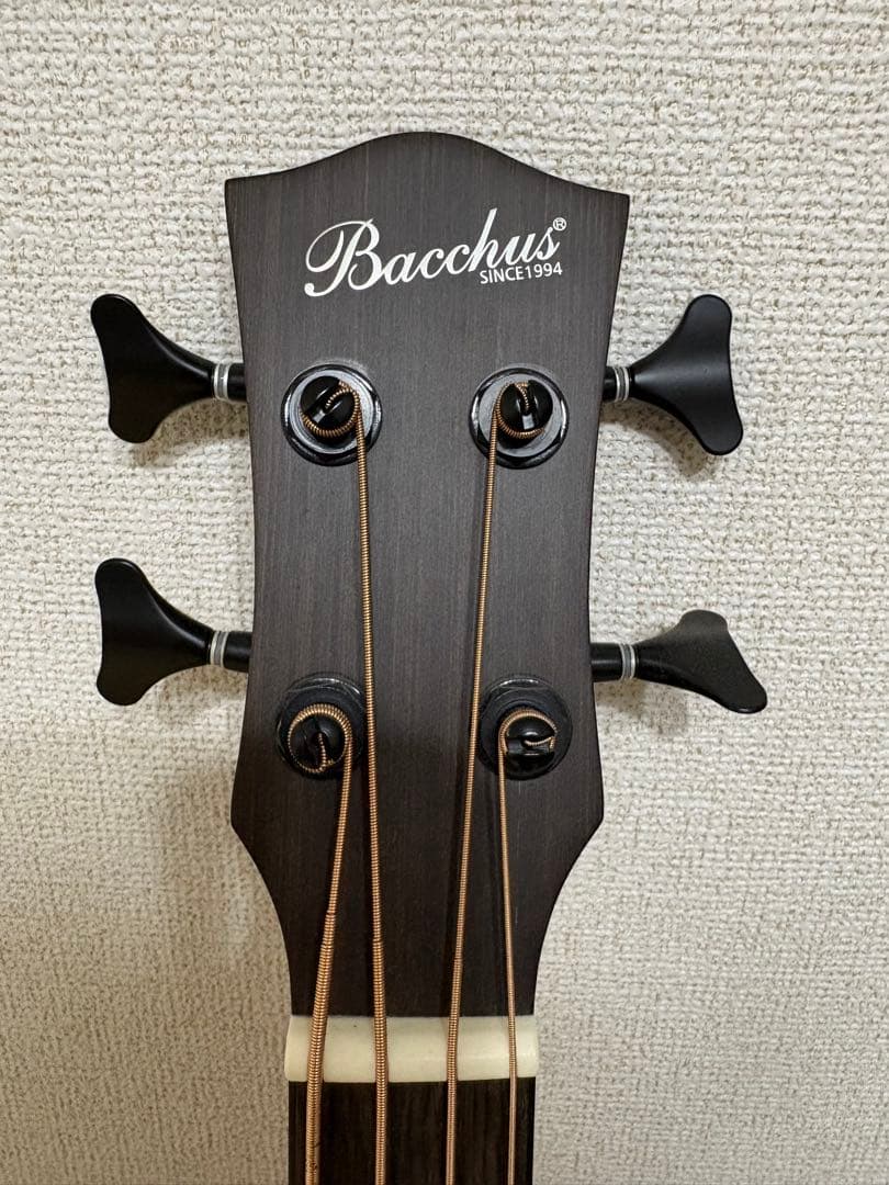 【生産終了品】Bacchus BAB-660 MAHO アコースティックベース