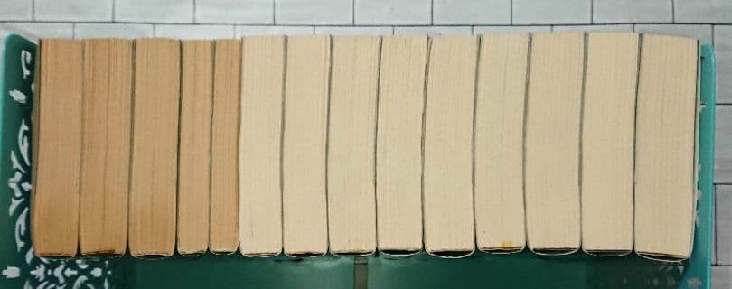 【まとめ】フランク・シェッツィング 文庫小説 １４冊セット