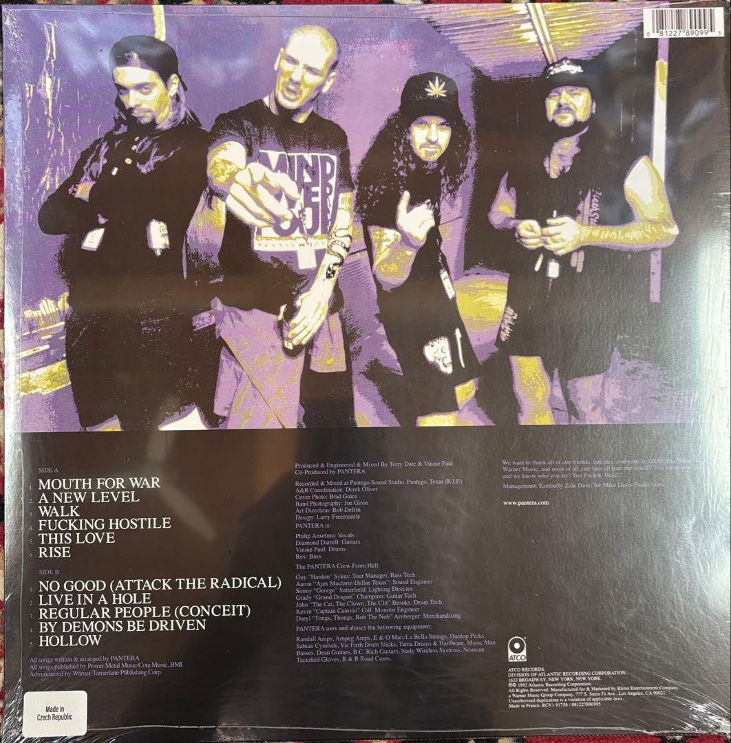 PANTERA パンテラ 俗悪 レコード