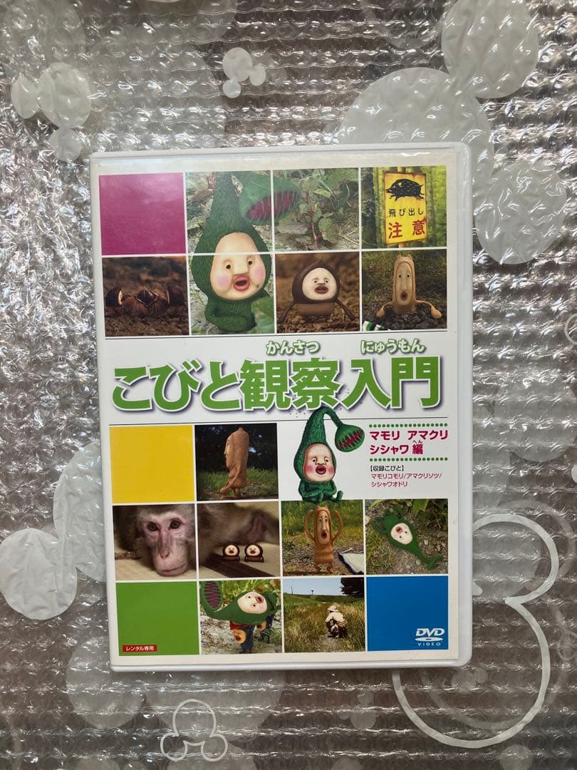 こびと観察入門 DVD 5枚セット
