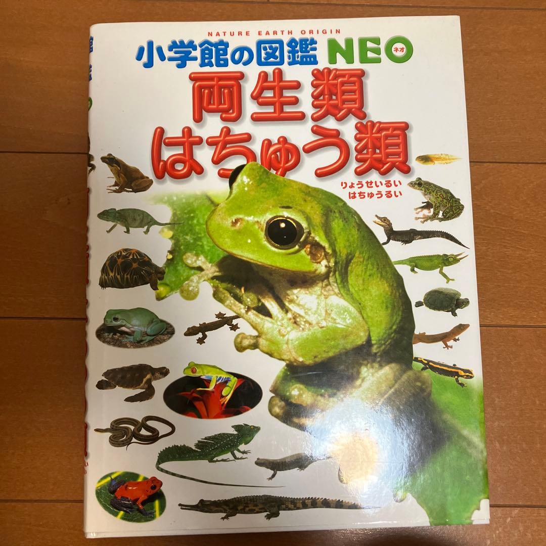 小学館の図鑑 NEO 12冊セット