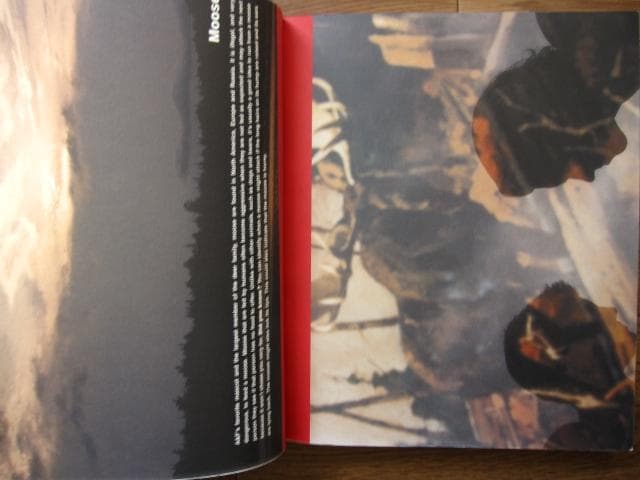 A&F QUARTERLY 2003 CHRISTMAS　Bruce Weber