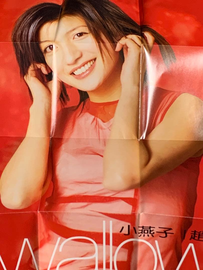 激レア　ヴィッキー・チャオ VICKI ZHAO　Swallow CD +VCD