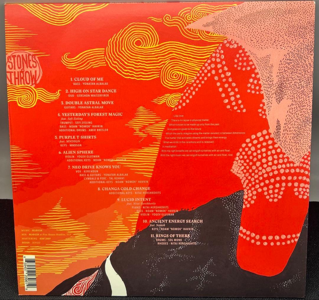 REJOICER Energy Dreams レコード