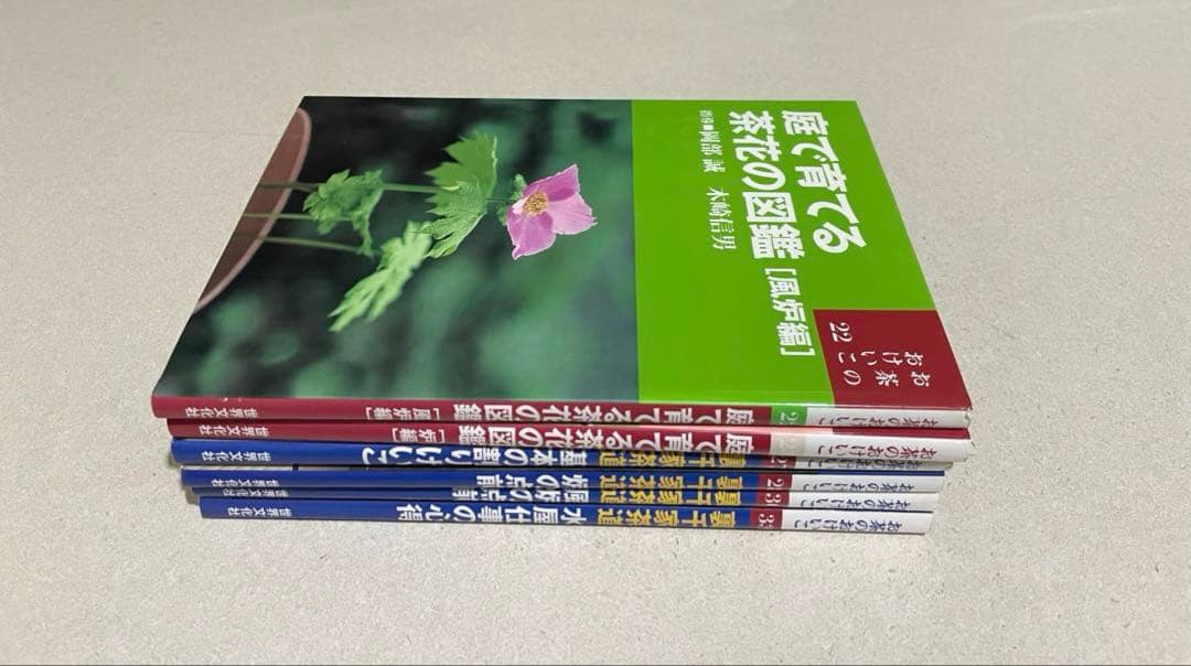 お茶のおけいこ まとめ売り　６冊セット