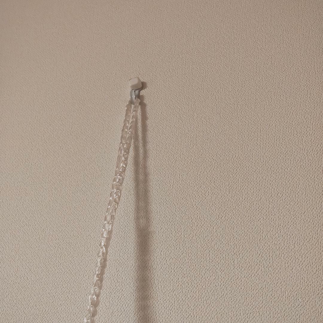 【Erieriページ】ハンドメイド　巨大　タランチュラ　蜘蛛