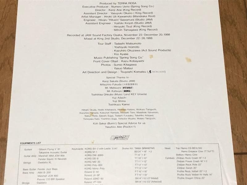 テラ・ローザ　レコード２枚セット　オネスティ　ジ・エンドレス・ベイシス