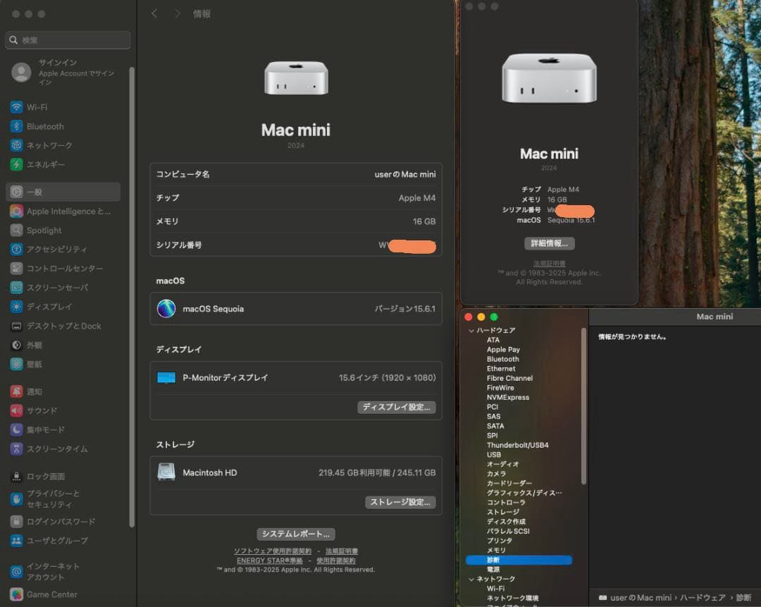 Apple Mac mini M4 16GB 256GB ドック付