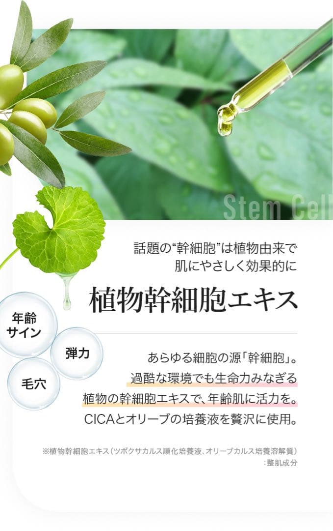 b.glenドラゴンズシークレットマスク６０枚入り×１個詰め替え３０枚入り×2袋