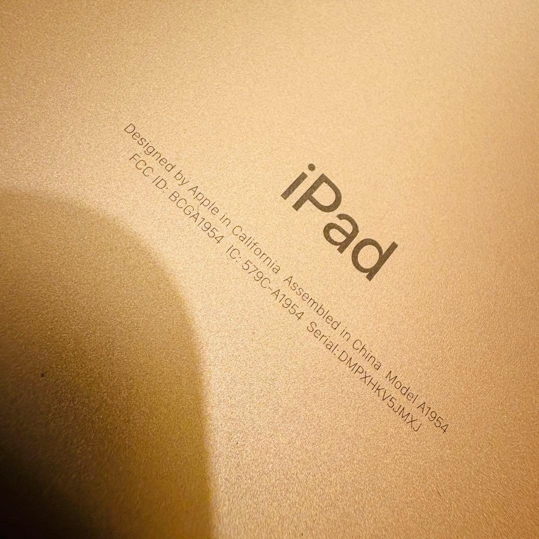 iPad (第6世代) Cellular ローズゴールド