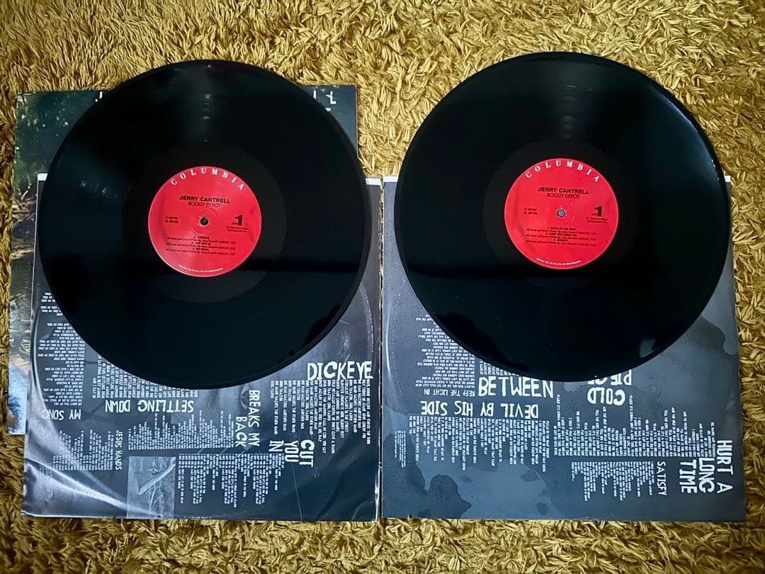 Jerry Cantrell Boggy  LP アナログ レコード