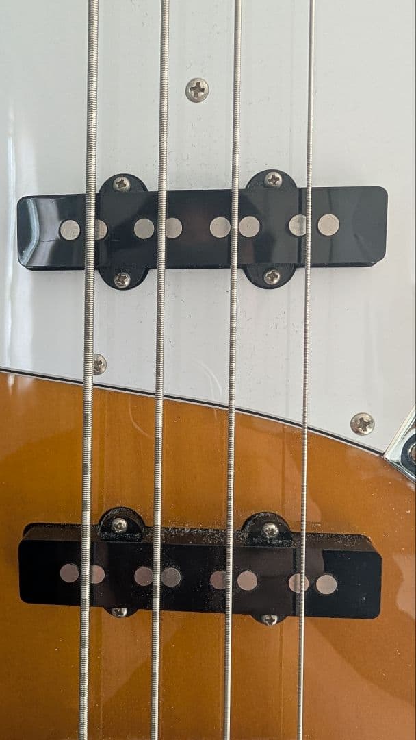 FUJIGEN　ジャズベースタイプ　JJB6R
