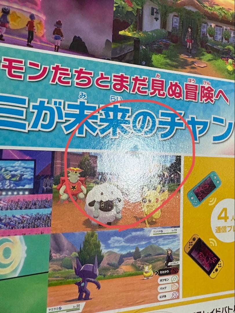ポケットモンスター ソード・シールドWP ダブルパック　DOUBLE PACK