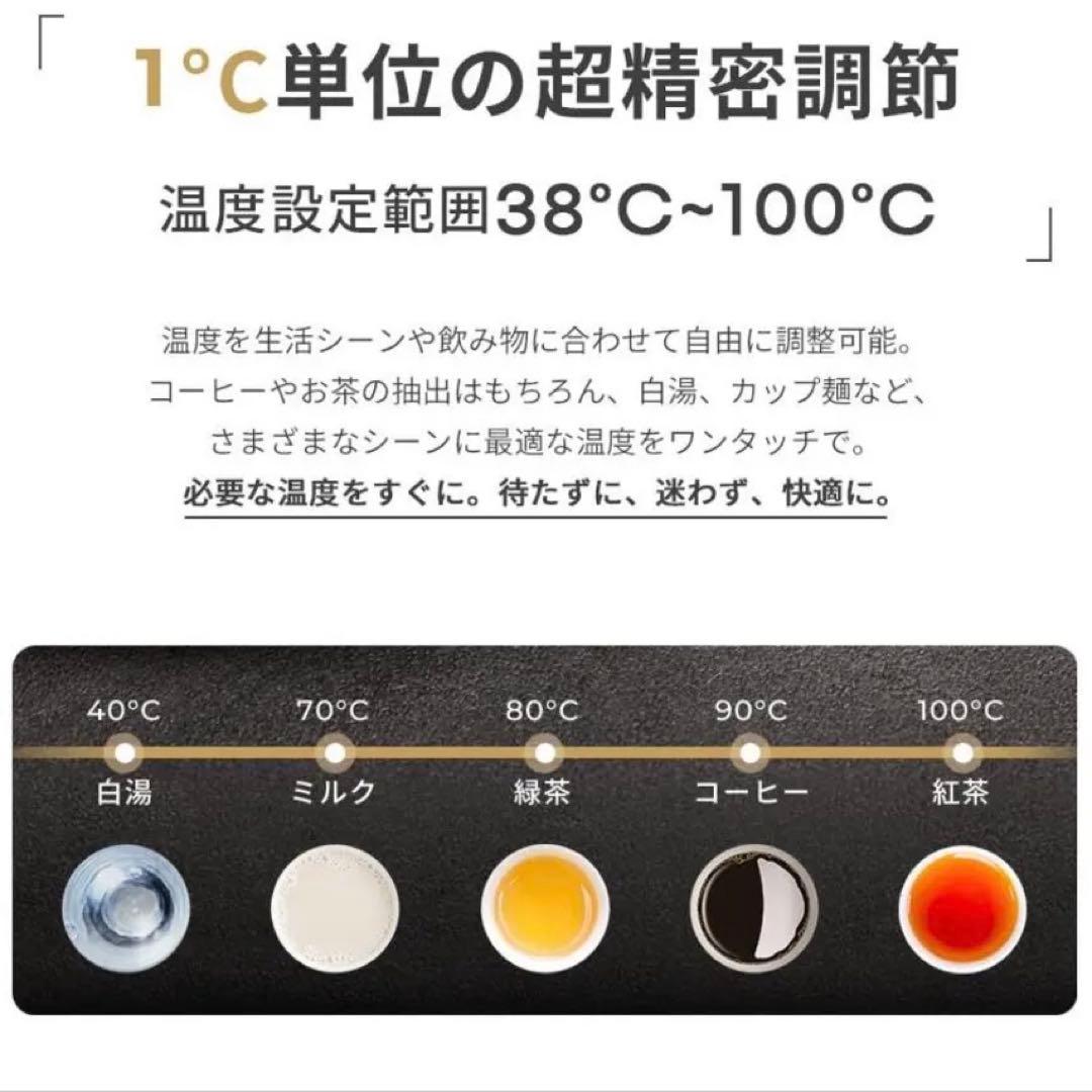 電気ケトル EPEIOS エペイオス0.9L 1℃単位温度調節＆保温機能付き 黒