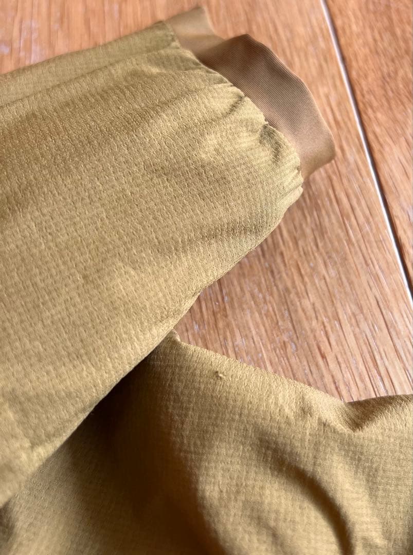 ARC'TERYX Atom Hoody Men’s Mサイズ