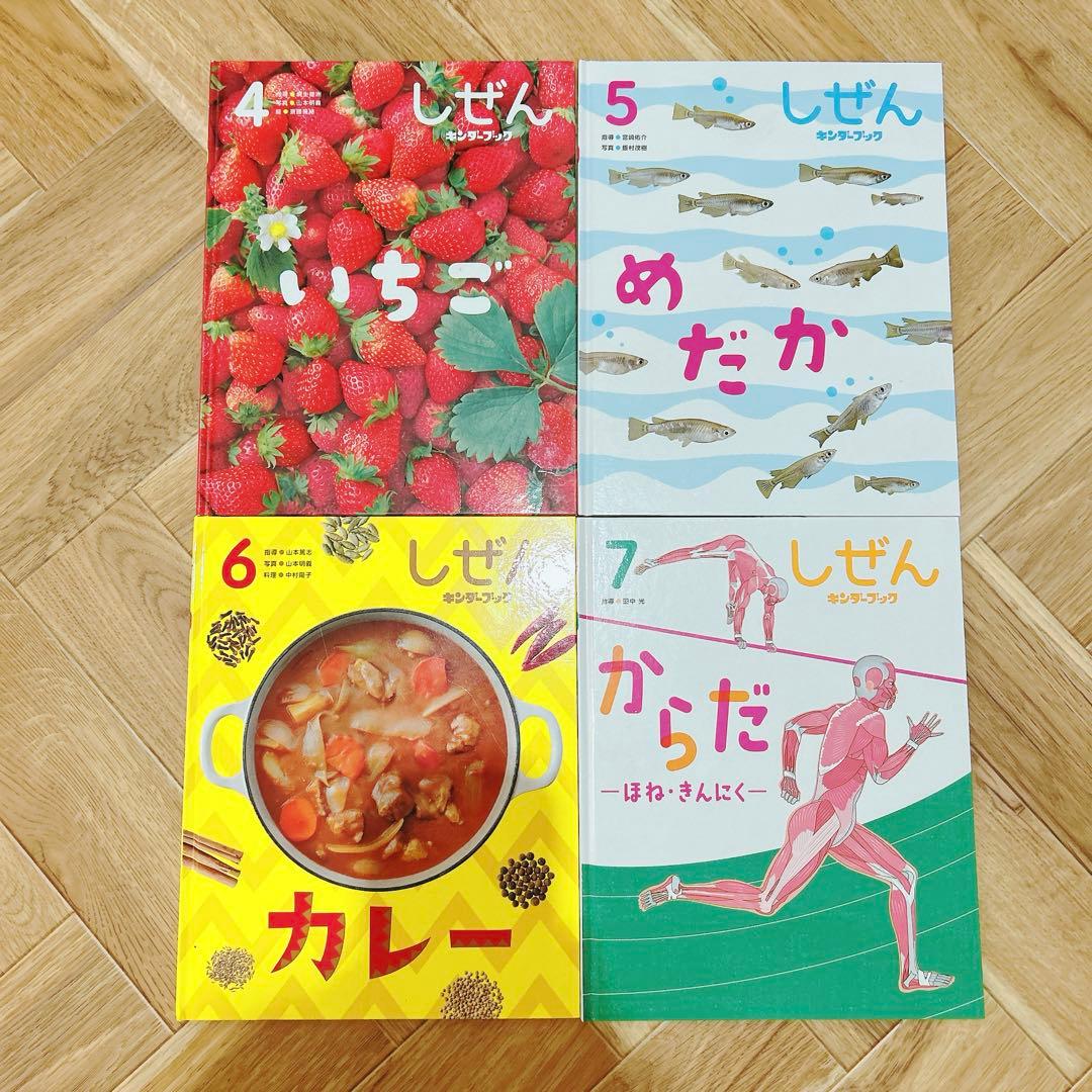 しぜん キンダーブック 2020年度版 12冊セット販売 フレーベル館