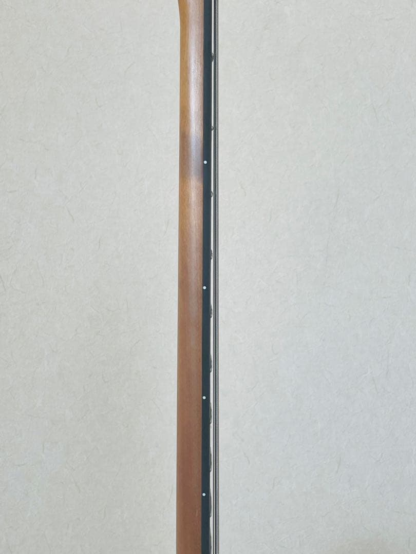 BUSKER'S 初心者向け エレキベース 数回使用　美品