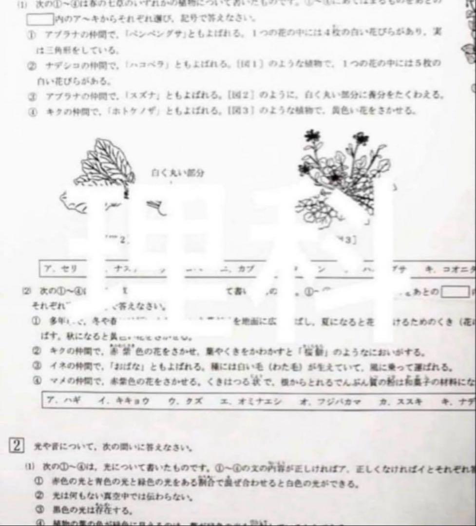 ⭐︎さゆ⭐︎様