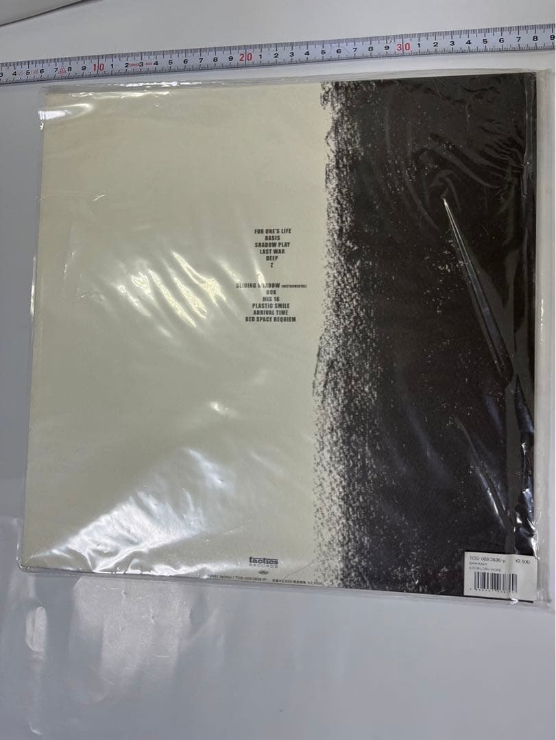 ブラフマン　フォーローンホープ　 BRAHMAN  HOPE  レコード