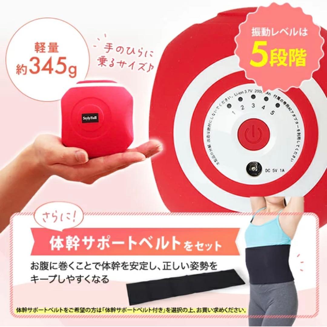 【美品】ルネサンススポーツクラブがつくったスタイリーボール エクササイズ レッド