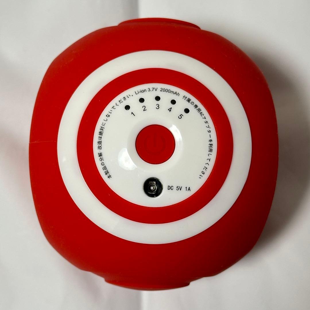 【美品】ルネサンススポーツクラブがつくったスタイリーボール エクササイズ レッド