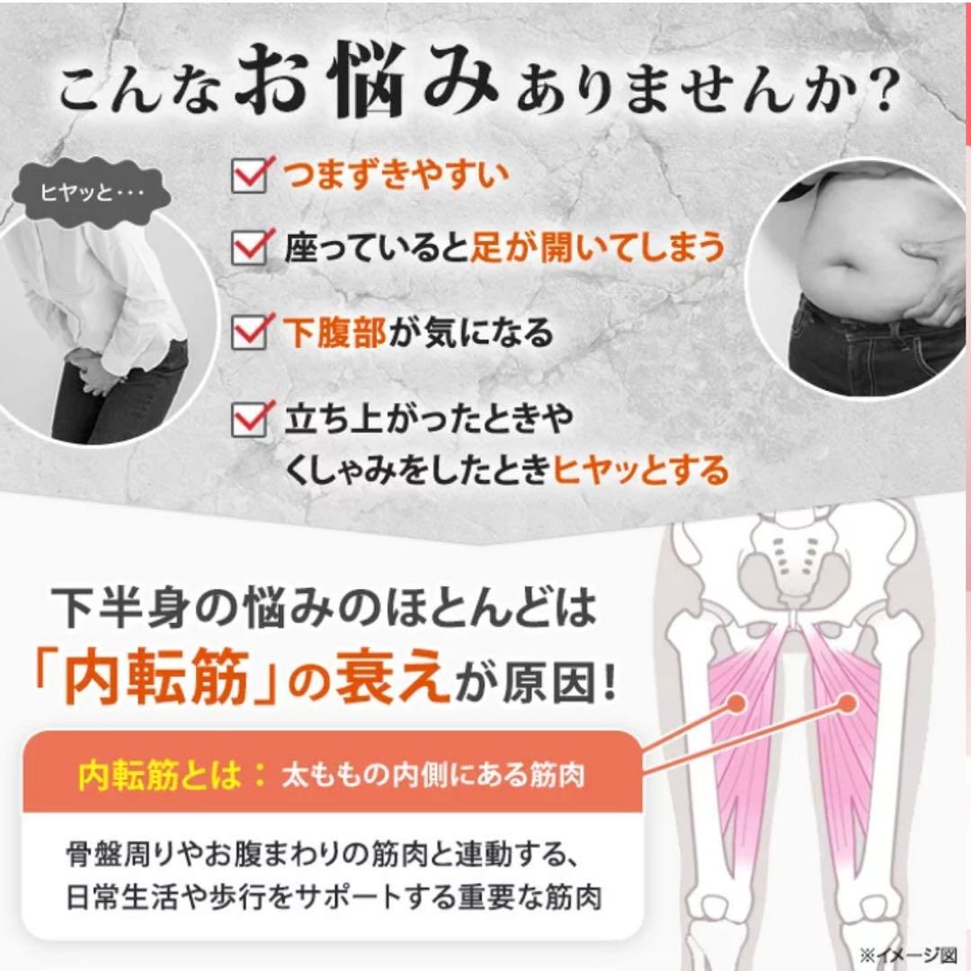 【美品】ルネサンススポーツクラブがつくったスタイリーボール エクササイズ レッド