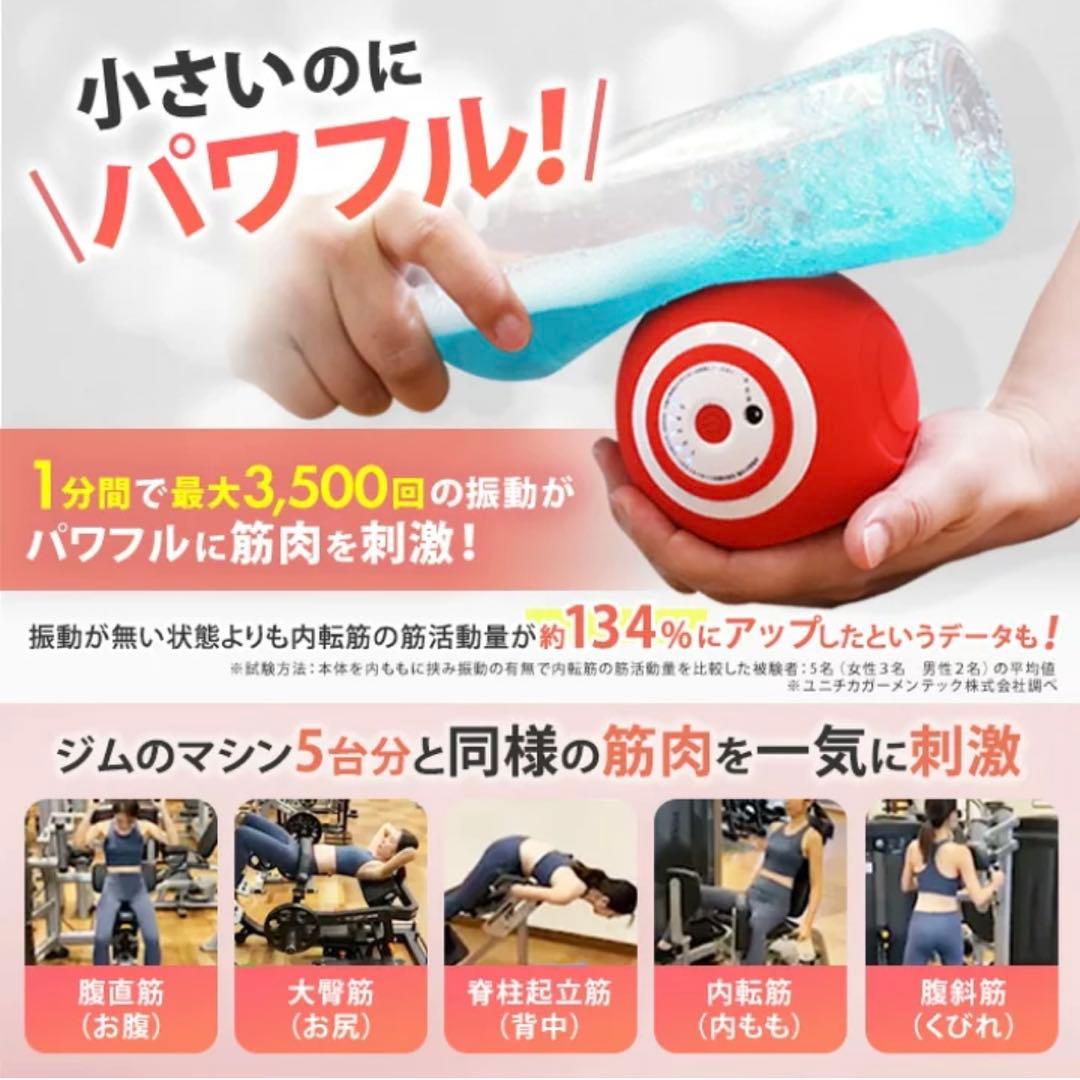 【美品】ルネサンススポーツクラブがつくったスタイリーボール エクササイズ レッド