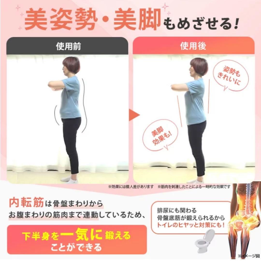 【美品】ルネサンススポーツクラブがつくったスタイリーボール エクササイズ レッド