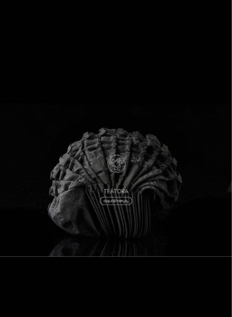 TEATORA KIJIMATAKAYUKI CAP black 希少　美品
