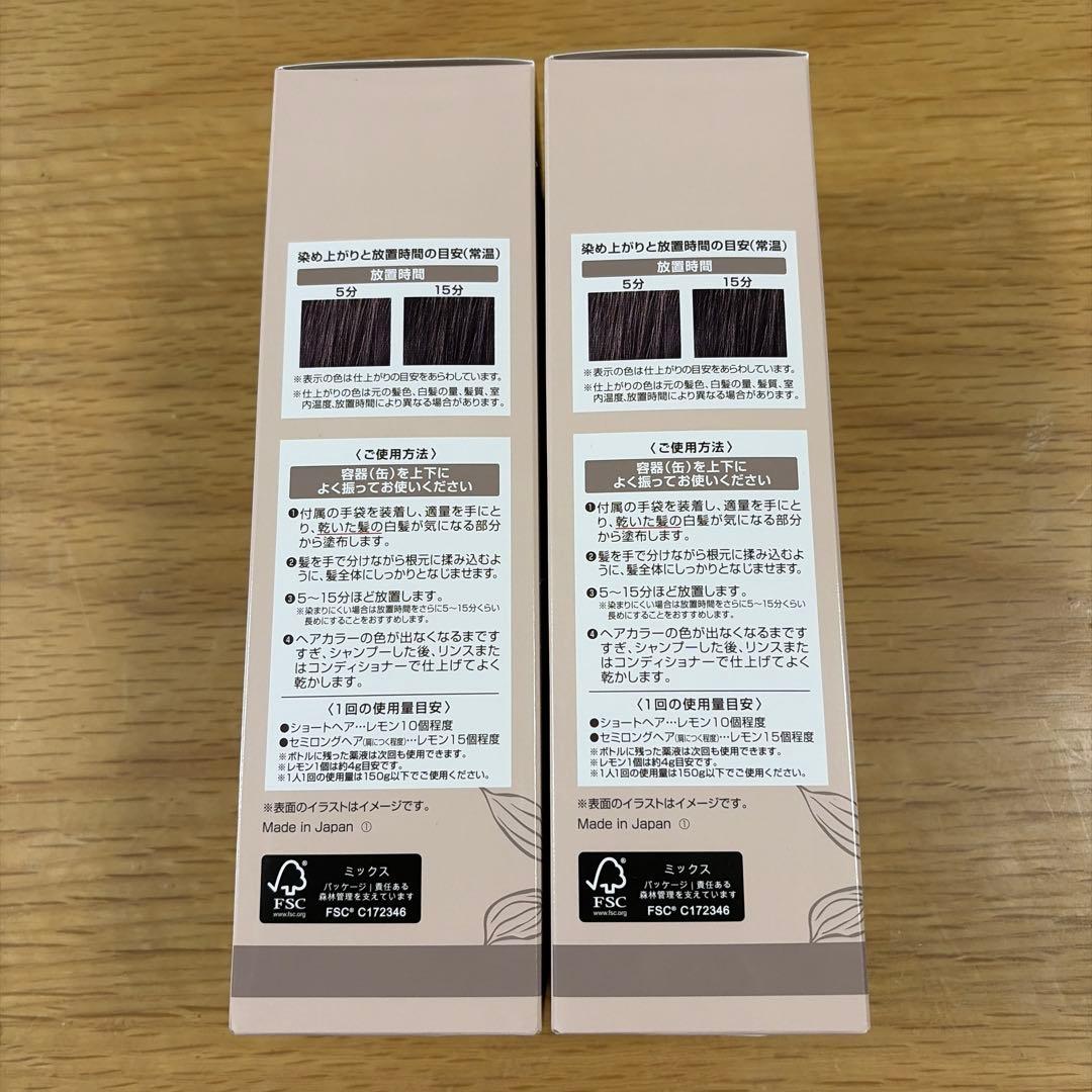 ヘアボーテエクラボタニカルエアカラーフォームupダークブラウン150g2本セット