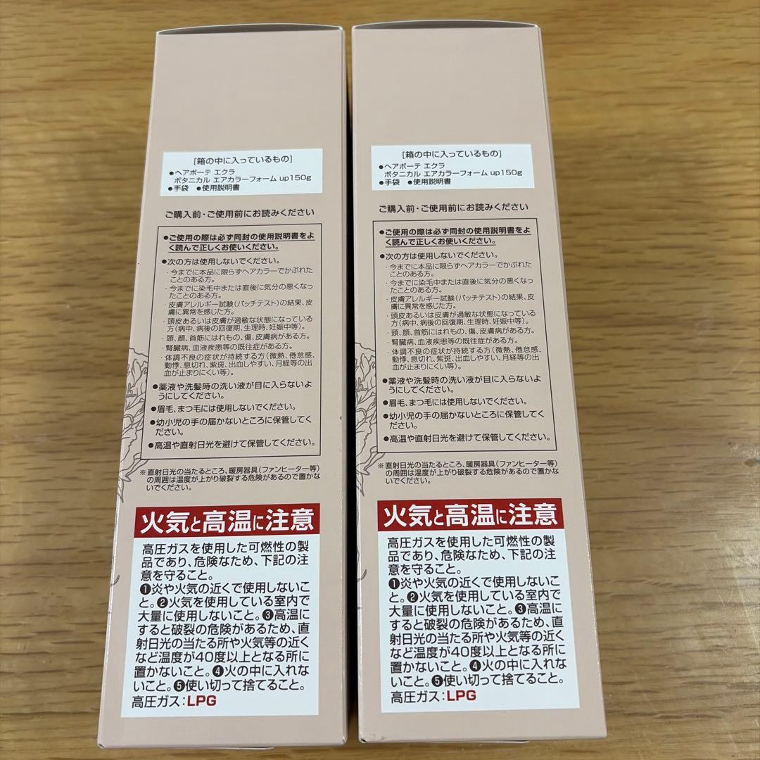 ヘアボーテエクラボタニカルエアカラーフォームupダークブラウン150g2本セット