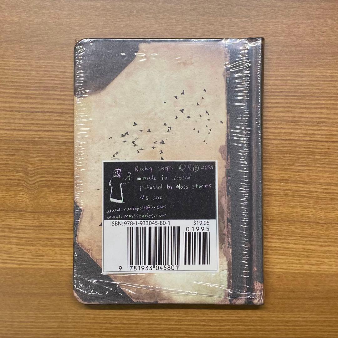 Riceboy Sleeps - jónsi & alex Art book