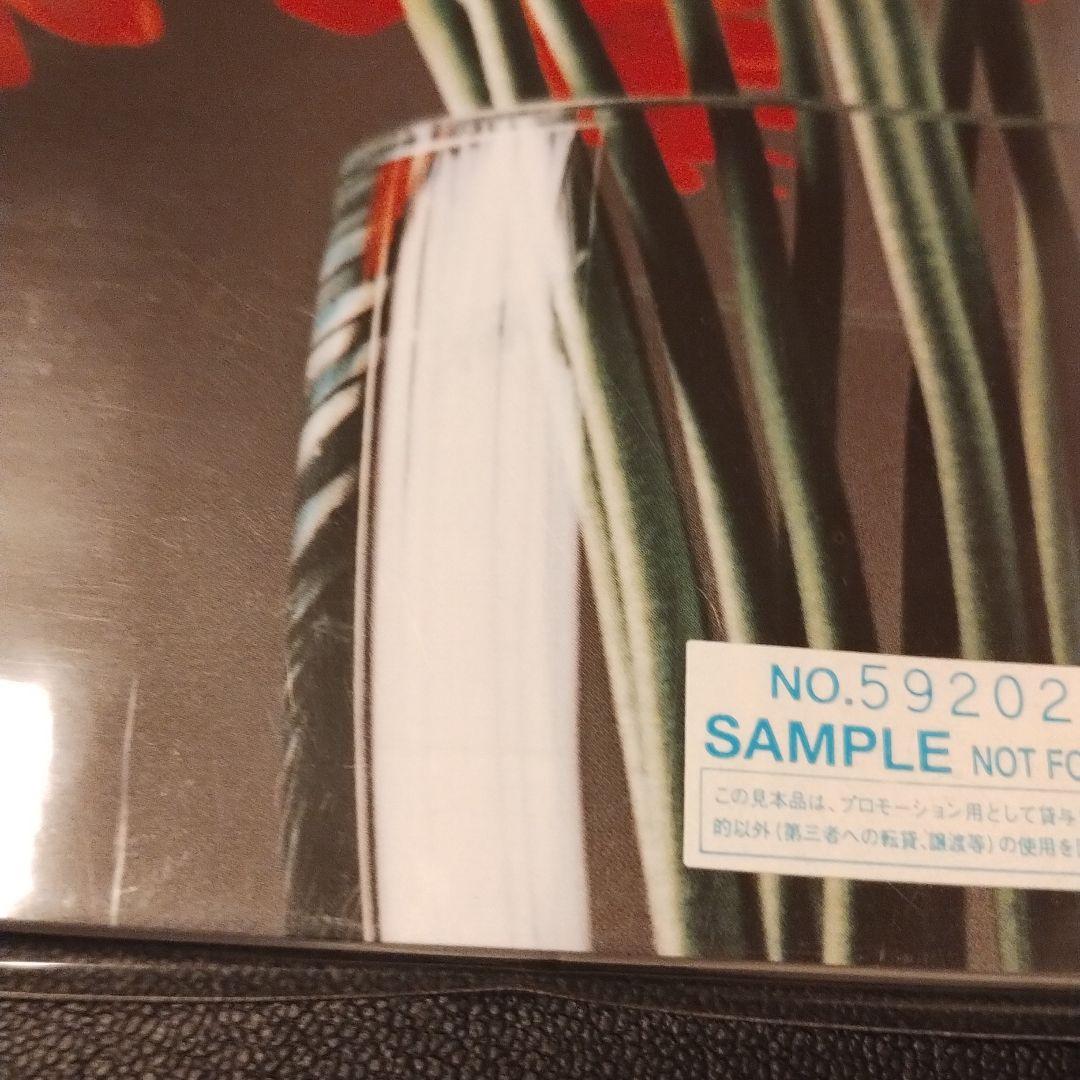 globe & TRF プロモ盤2枚含む合計3枚セット！