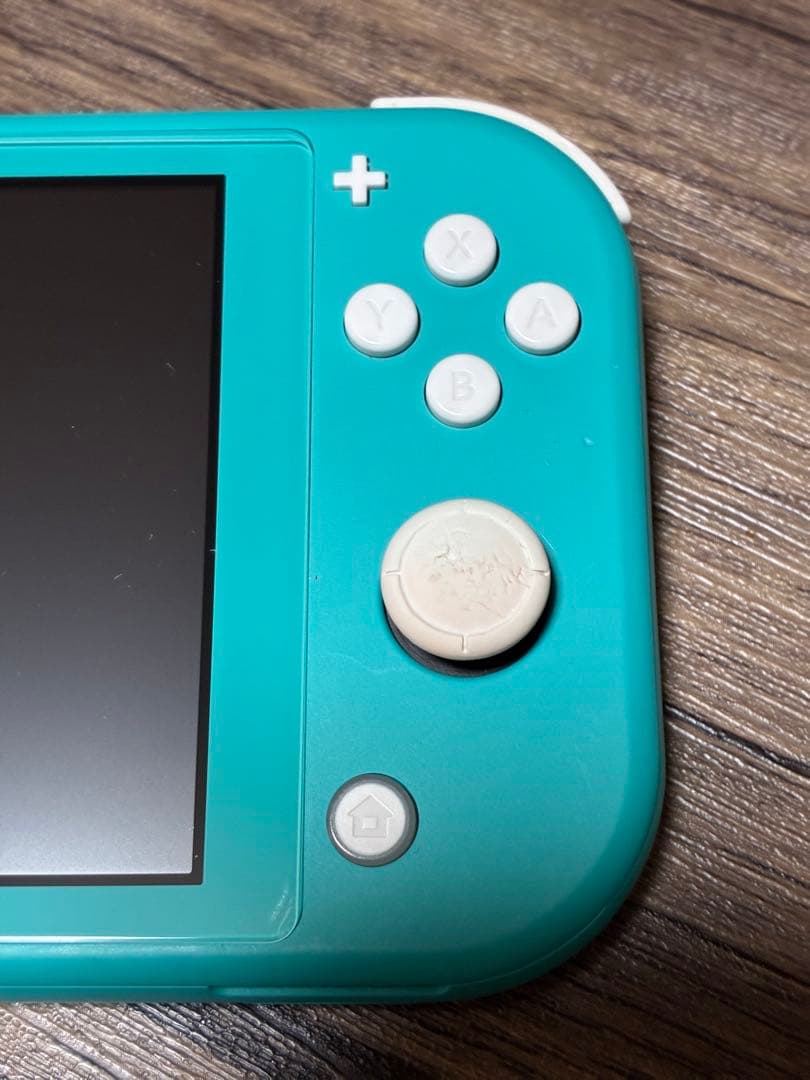 ニンテンドー スイッチ ライト Nintendo Switch Light
